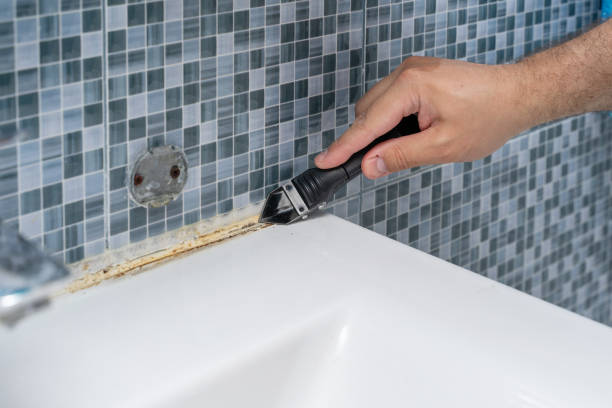 Best Residential Mold Remediation in Salisbury, MO